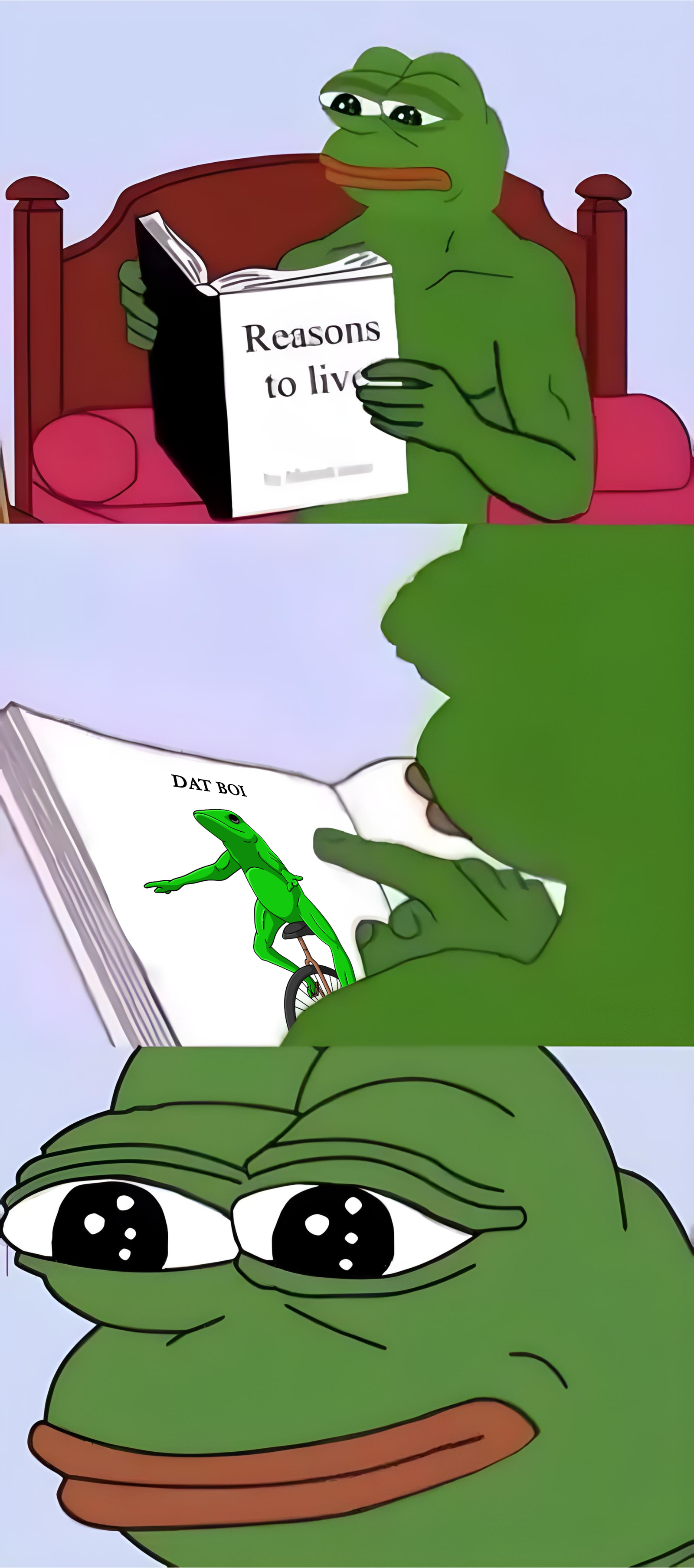 Picsart_25-01-02_20-43-42-444